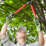 Peak Tree Co - professional tree trimming in Colorado Springs