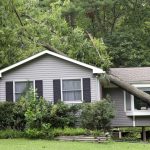 fallen tree on your property