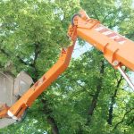tree trimming vs tree topping