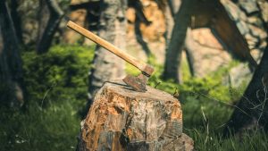dangers of DIY stump removal