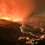 seasonal wildfire mitigation