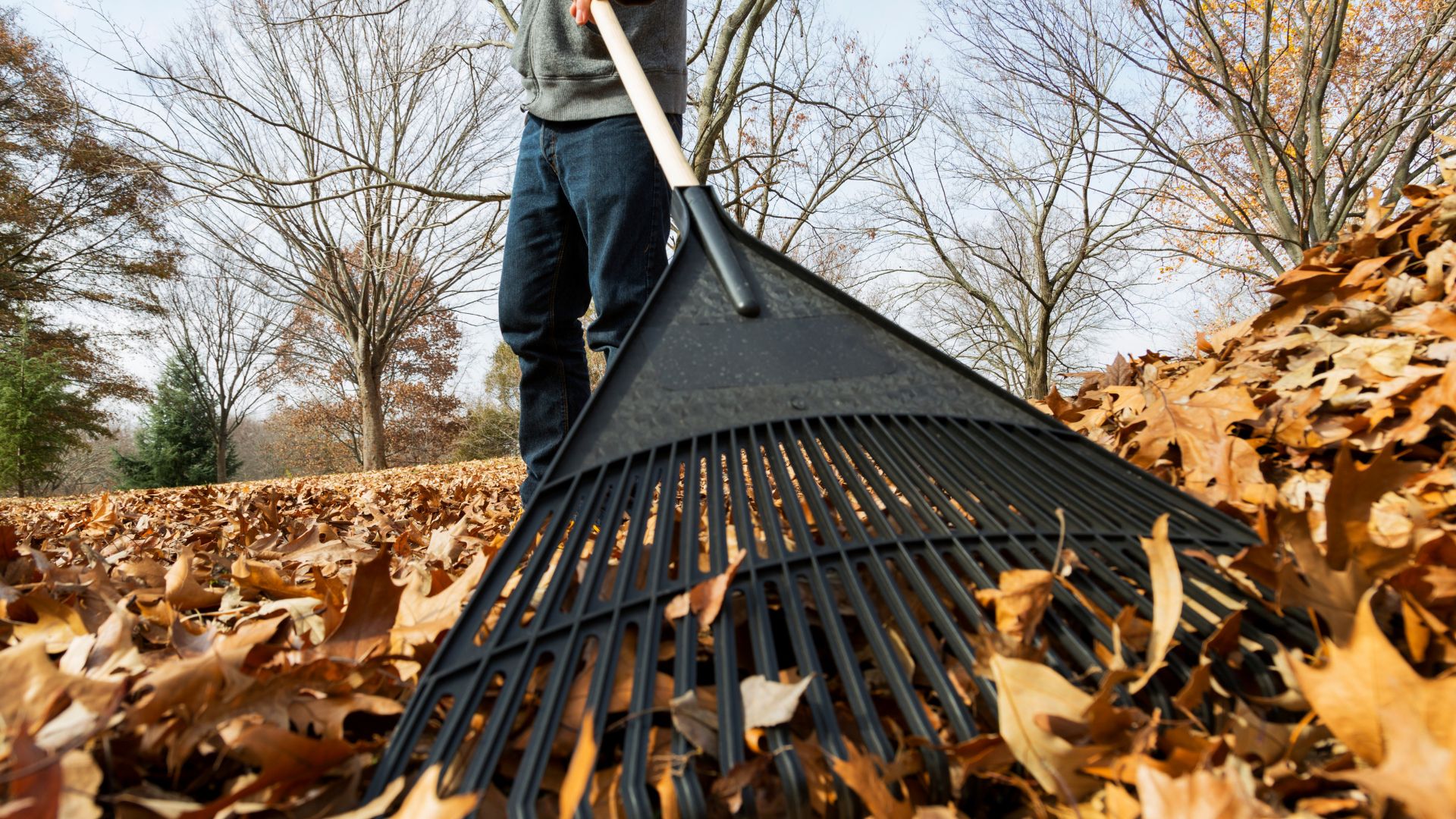 seasonal wildfire mitigation