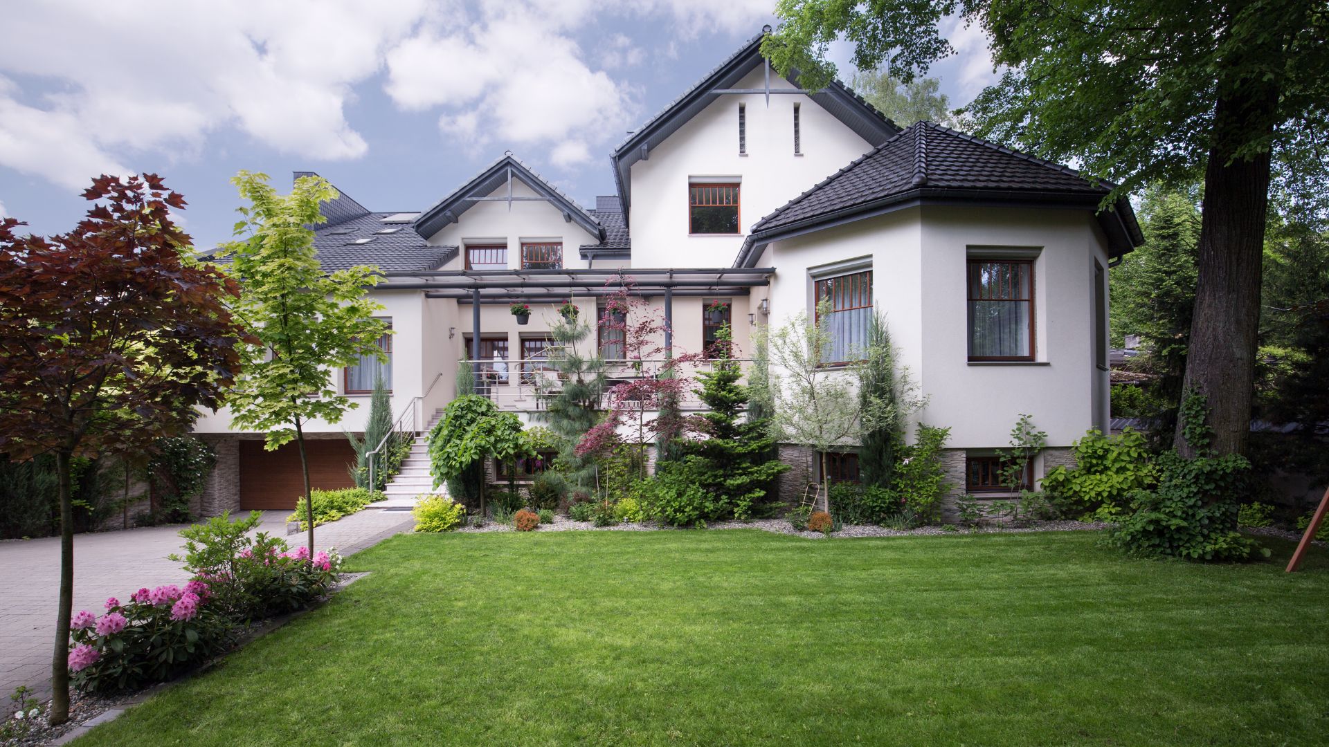 tree maintenance increases home value