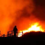 trees are wildfire compliant